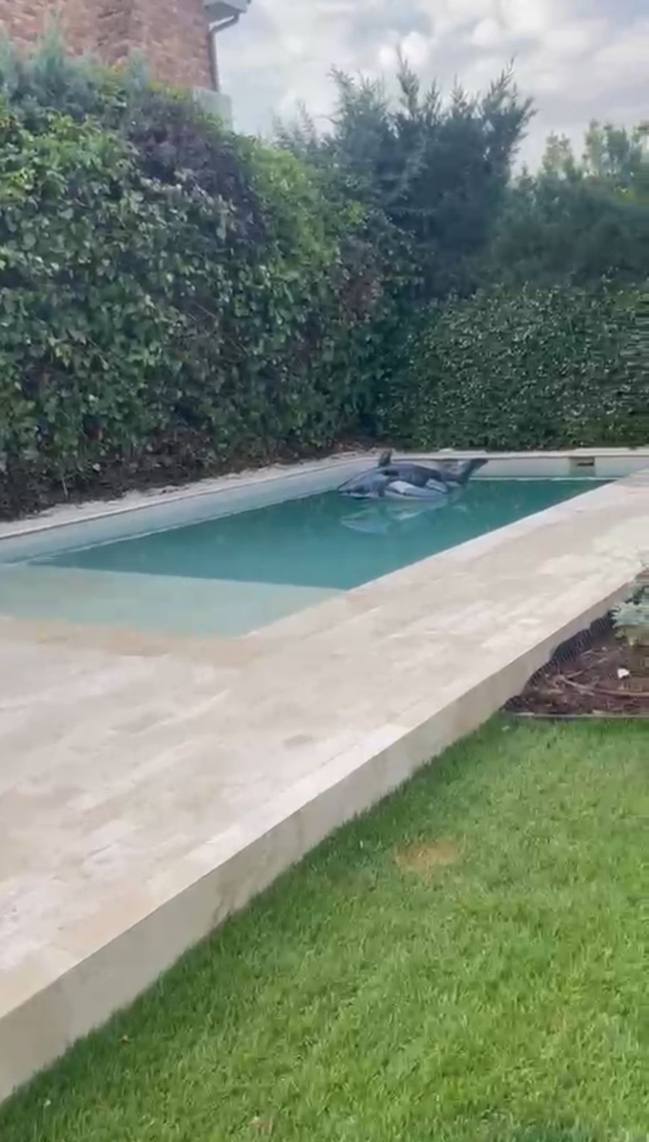 Reforma integral de piscina en La Moraleja